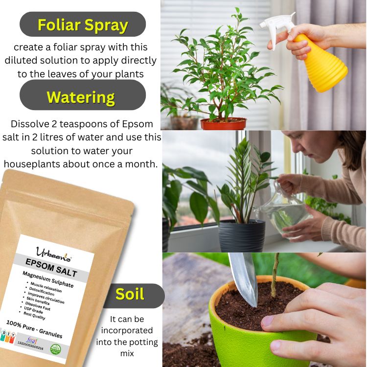 Epsom Salt Crystal for Plants Growth Natural Magnesium Sulphate Fertilizer, Relieves Aches & Pain