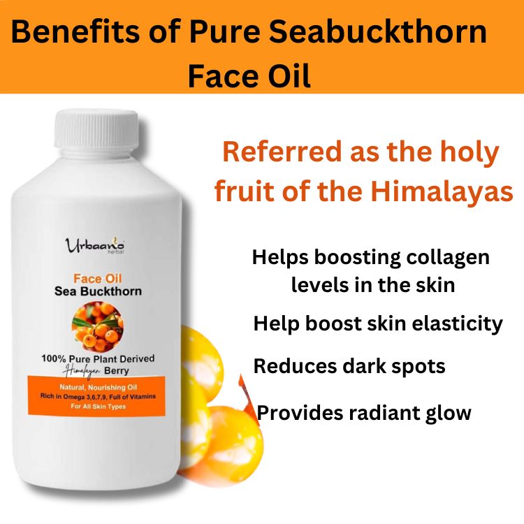 Sea Buckthorn Oil Natural Himalayan Berry Oil