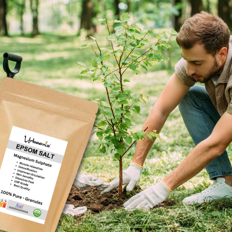 Epsom Salt Crystal for Plants Growth Natural Magnesium Sulphate Fertilizer, Relieves Aches & Pain