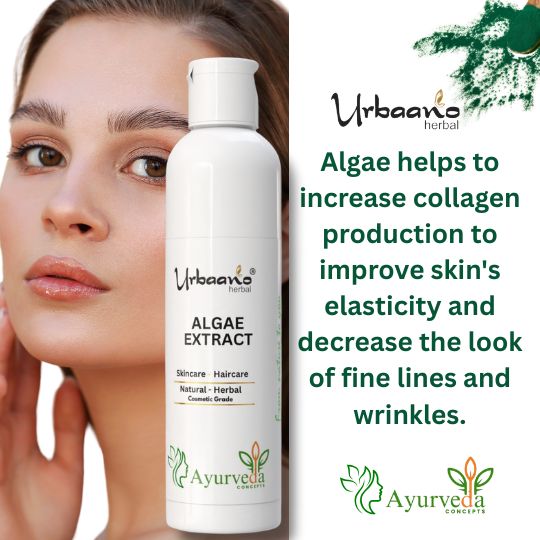 Algae Liquid Extract – Natural Marine Botanical for making DIY Skincare, Serums & Face Masks