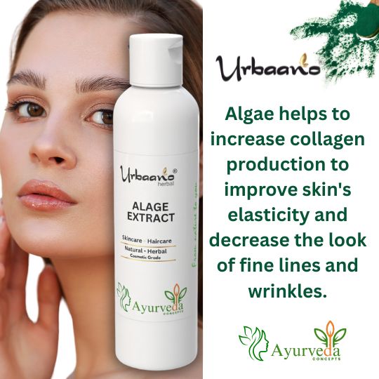 Algae Liquid Extract – Natural Marine Botanical for making DIY Skincare, Serums & Face Masks