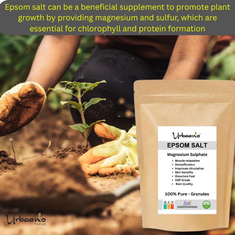 Epsom Salt Crystal for Plants Growth Natural Magnesium Sulphate Fertilizer, Relieves Aches & Pain