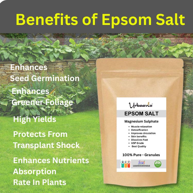 Epsom Salt Crystal for Plants Growth Natural Magnesium Sulphate Fertilizer, Relieves Aches & Pain