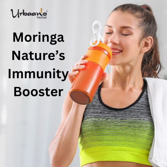 Organic Moringa Leaf Powder, Drumstick Leaf powder