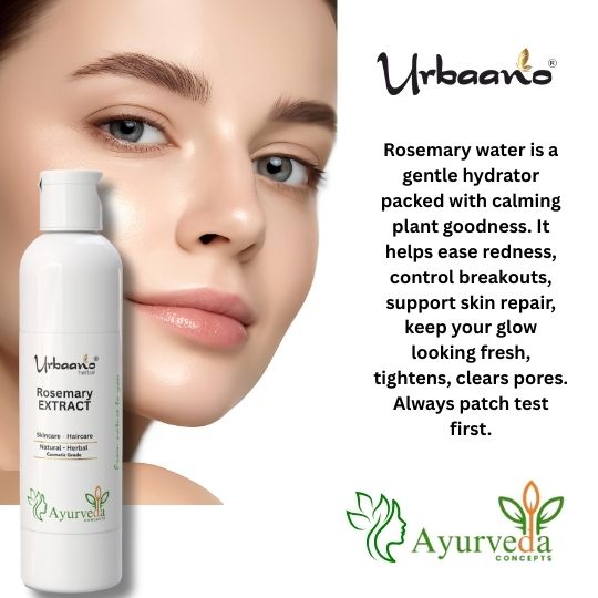 Rosemary Leaf Extract Liquid Water Soluble for Skin and Hair Care