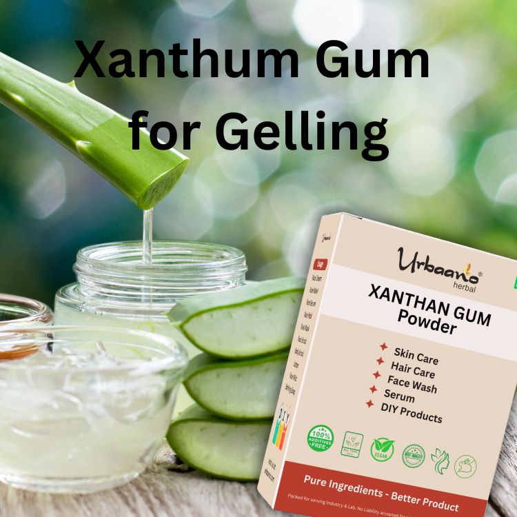Xanthan Gum Powder for Soap Making, Domestic Use & Diy Personal Care Food Emulsifier, Stabilizer & Thickener