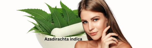 https://www.urbaano.com/products/urbaano-herbal-pure-neem-extract-natural-ingredient-for-diy-skin-hair-body-care