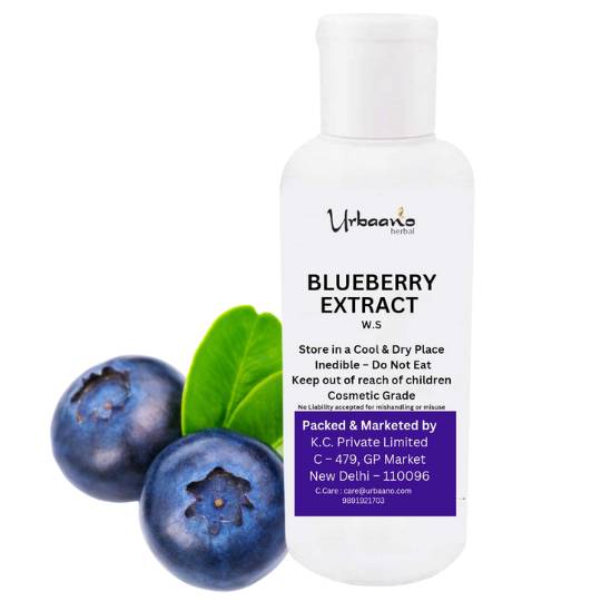 diy beauty hacks blueberry extract water soluble is beneficial for skincare to reduce fine lines, age spots
