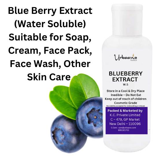 diy beauty hacks blueberry extract water soluble is beneficial for skincare to reduce fine lines, age spots