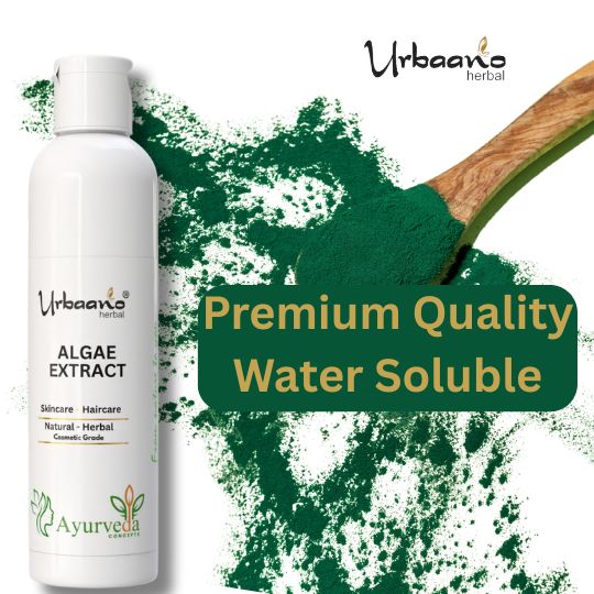 Algae Liquid Extract – Natural Marine Botanical for making DIY Skincare, Serums & Face Masks