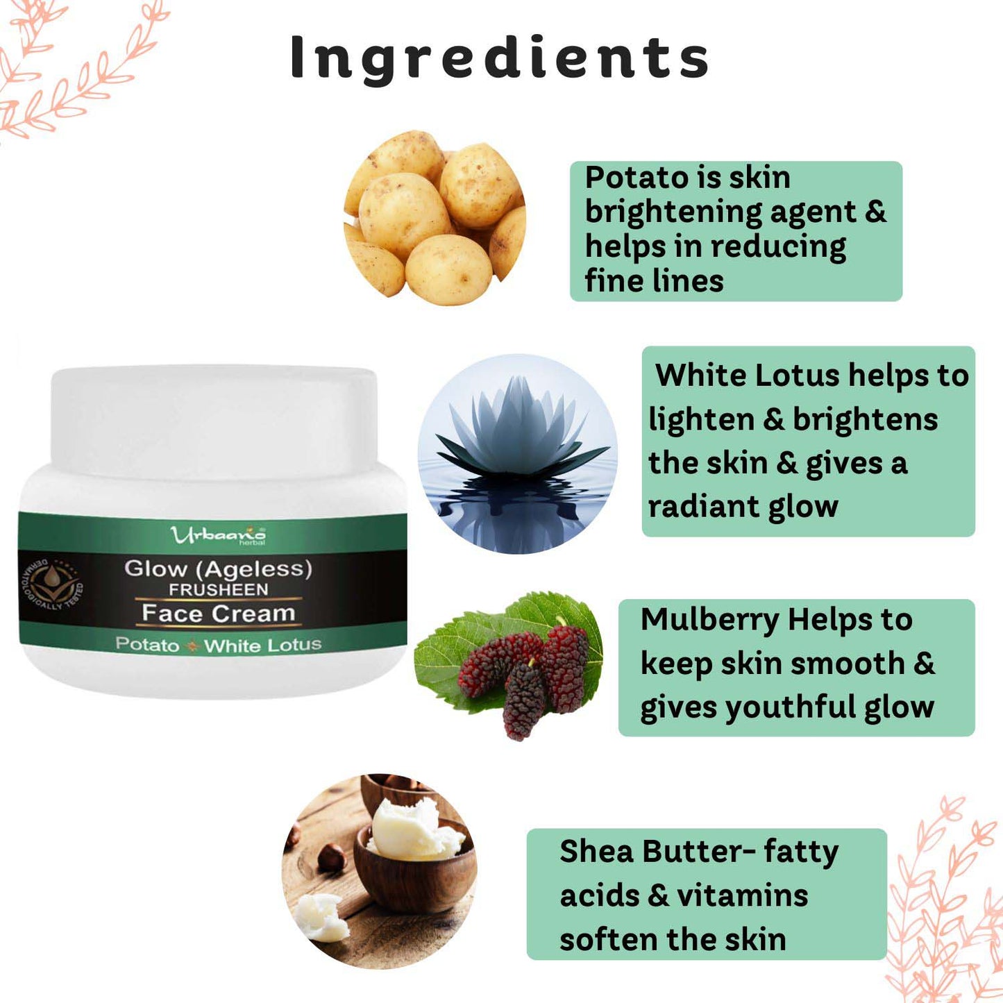 urbaano herbal frusheen glow ageless face cream with mulberry, shea butter, potato, white lotus for supple, bright, hydrated, youthful skin