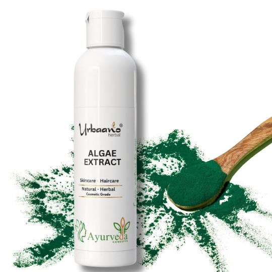 Algae Liquid Extract – Natural Marine Botanical for making DIY Skincare, Serums & Face Masks