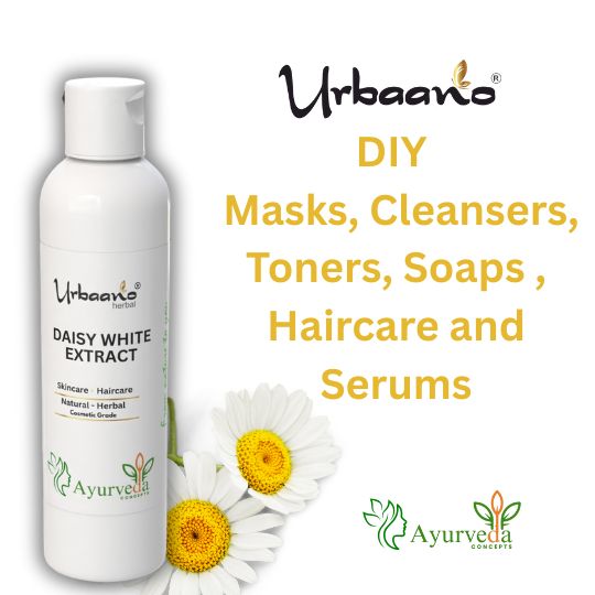 Daisy Flower Liquid Extract Natural Ingredient for Skin Care Products - DIY Ingredient (WS)