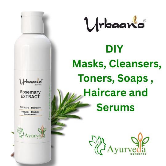 Rosemary Leaf Extract Liquid Water Soluble for Skin and Hair Care