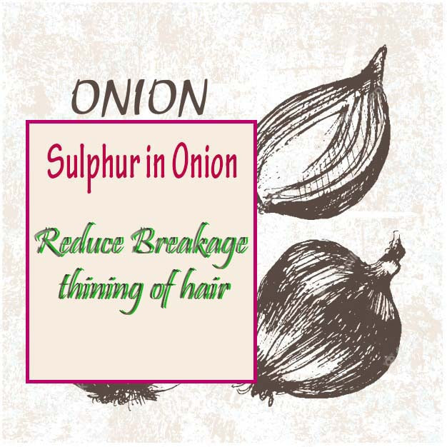 Red Onion Shampoo & Conditioner for Hair Growth & Hair Fall Control